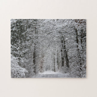 Puzzle Chemin de la forêt d'hiver dans la neige et la nat