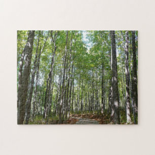 Puzzle Chemin en bois centenaire II Ellicott City Marylan