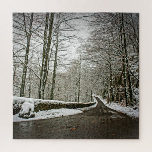 Puzzle Chemin vers Dreamland - Forêt allemande -20x20-676