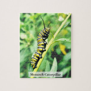 Puzzle Chenille de papillon monarque alimentation 110 piè