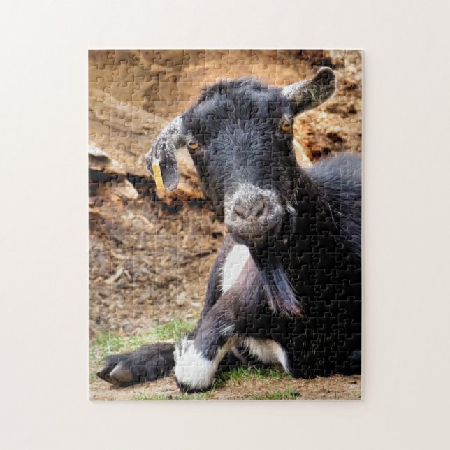 PUZZLE CHÈQUE (Vertical)
