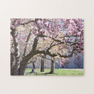 Puzzle Cherry Blossoms Central Park New York City NYC