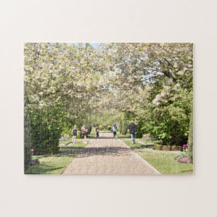 Puzzle Cherry Blossoms Spring Regent's Park London UK