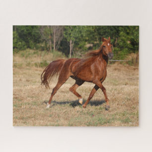 Puzzle Chestnut Arabe Courir Mane et Queue