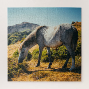 Puzzle Cheval blanc et gris pâturage avec soleil brillant