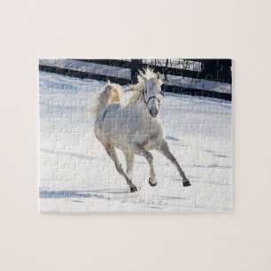 Puzzle Cheval blanc fonctionnant dans la neige