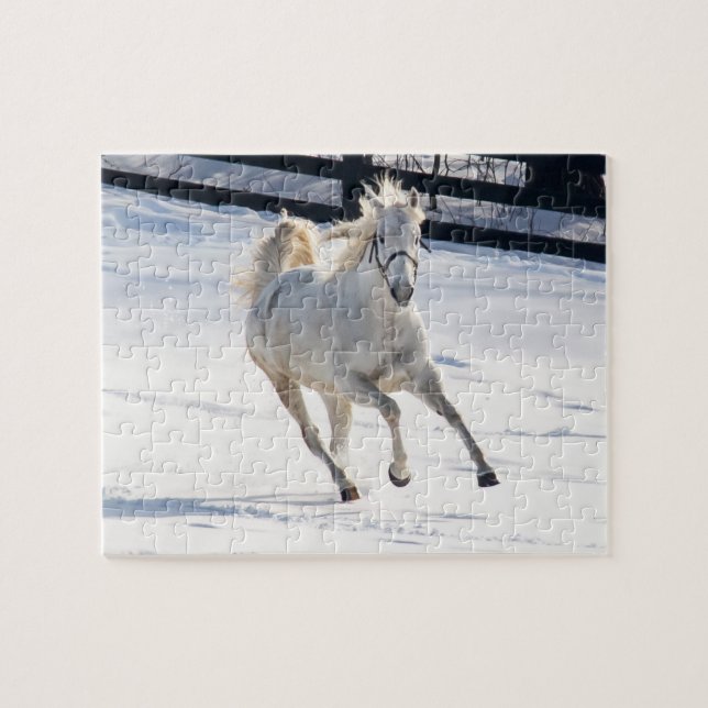 Puzzle Cheval blanc fonctionnant dans la neige (Horizontal)