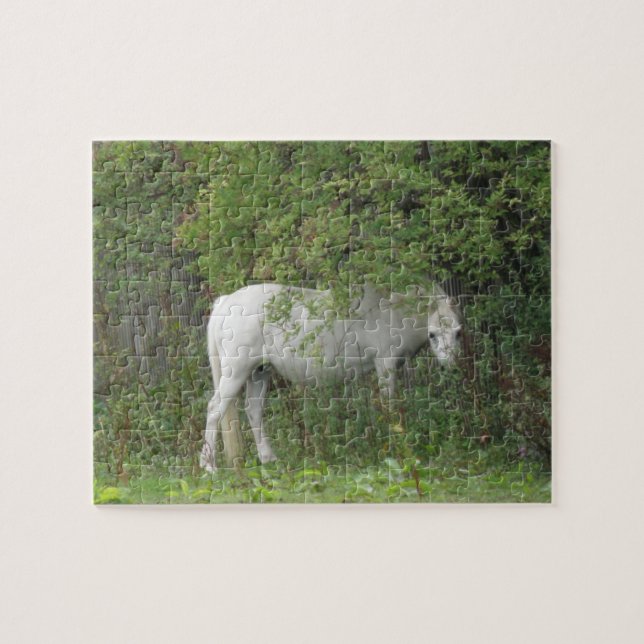 Puzzle Cheval Blanc timide (Horizontal)