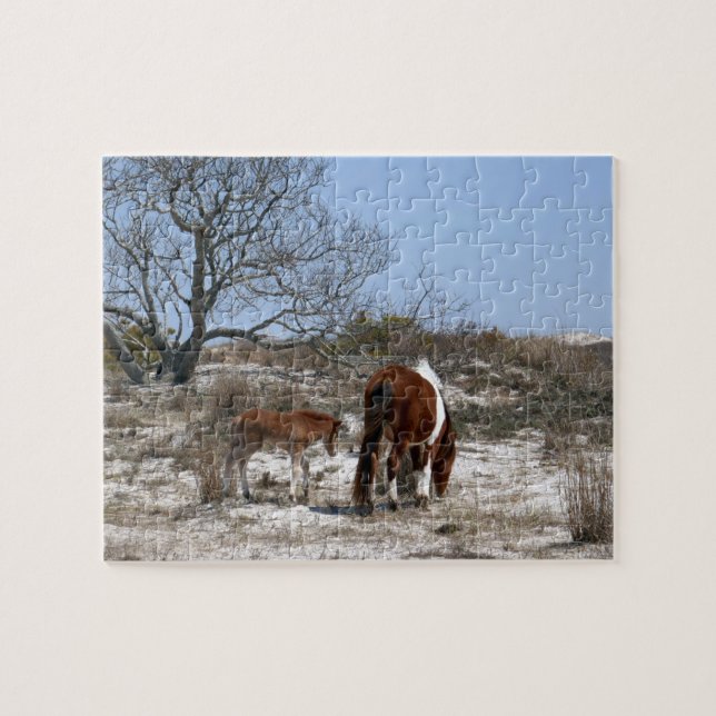Puzzle Cheval de mère et de bébé à Assateague (Horizontal)