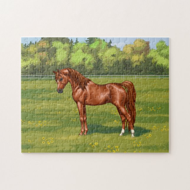 Puzzle Cheval égyptien arabe châtaigner dans le pâturage  (Horizontal)
