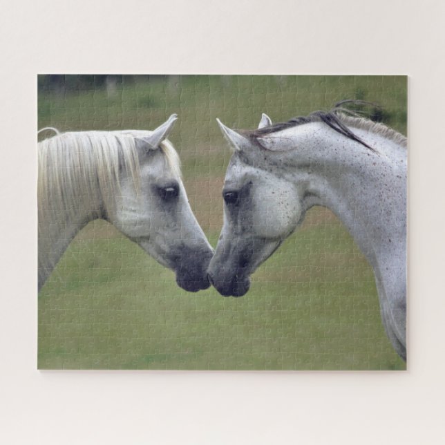 Puzzle Cheval équestre (Horizontal)