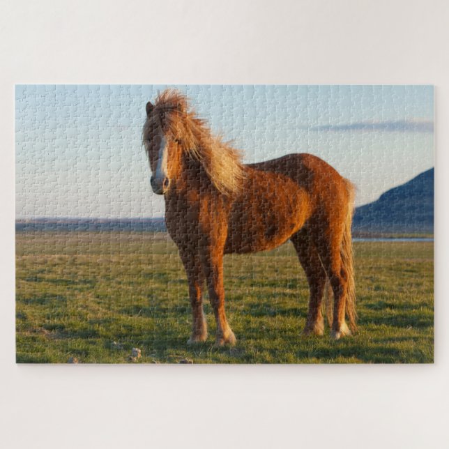 Puzzle Cheval islandais au soleil couchant (Horizontal)