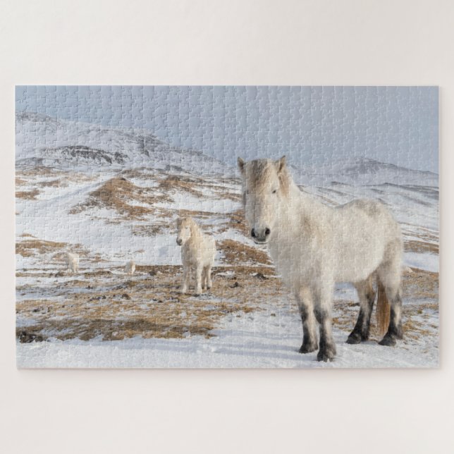 Puzzle Cheval islandais | Blonduos, Islande (Horizontal)