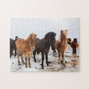 Puzzle Cheval islandais en hiver en Islande