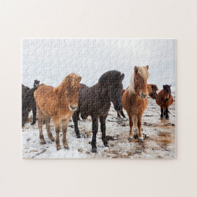 Puzzle Cheval islandais en hiver en Islande (Horizontal)