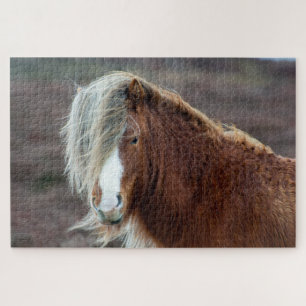 Puzzle Cheval islandais sauvage dans un champ