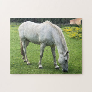 Puzzle Cheval Jigsaw - Un Cheval Blanc Pâturage dans un c