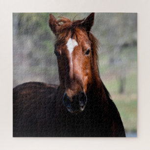 Puzzle cheval majestueux