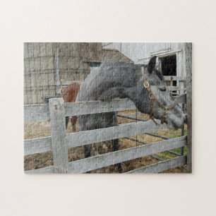 Puzzle Cheval mignon devant une grange