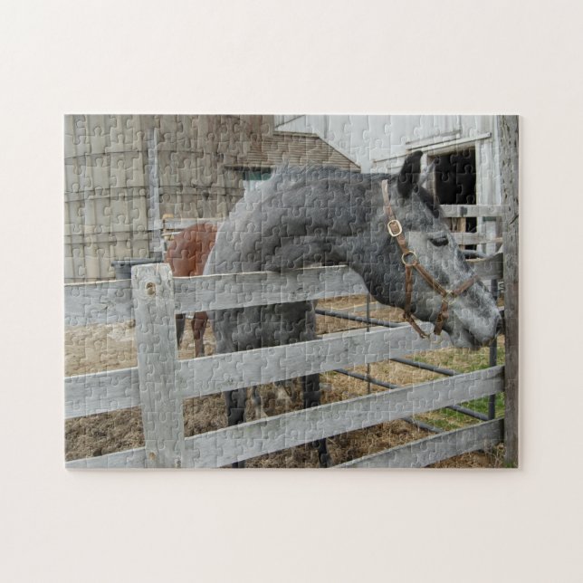 Puzzle Cheval mignon devant une grange (Horizontal)