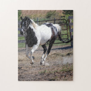 Puzzle Cheval Pinto Paint