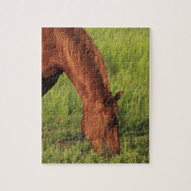 Puzzle Cheval Rouge du Kansas (Vertical)