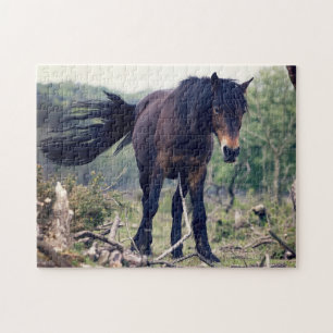 Puzzle Cheval sauvage