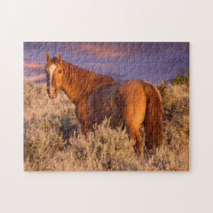 Puzzle Cheval sauvage du comté de Harney reste vigilant