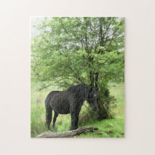 PUZZLE CHEVAUX