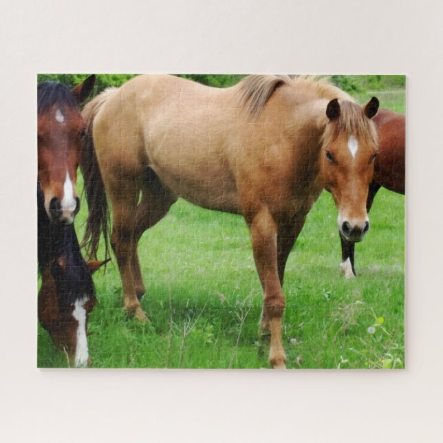 Puzzle Chevaux (Horizontal)