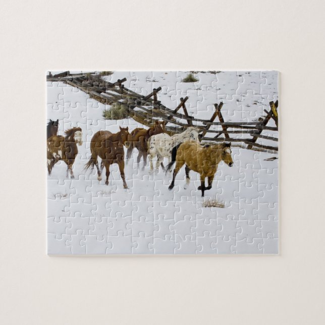 Puzzle Chevaux courant dans la neige (Horizontal)