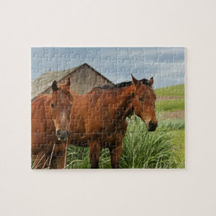 Puzzle Chevaux dans un champ dans le Palouse 3