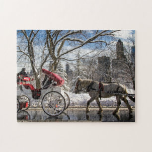 Puzzle Chevaux de chariot d'hiver dans le Central Park