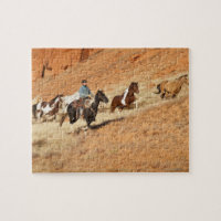 Chevaux de cow-boy