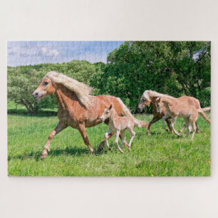 Puzzle Chevaux de Haflinger avec de mignons poulains Cour