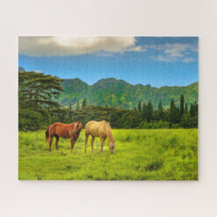 Puzzle Chevaux hawaïens, Hokulei Peak, Kauai, Hawaii