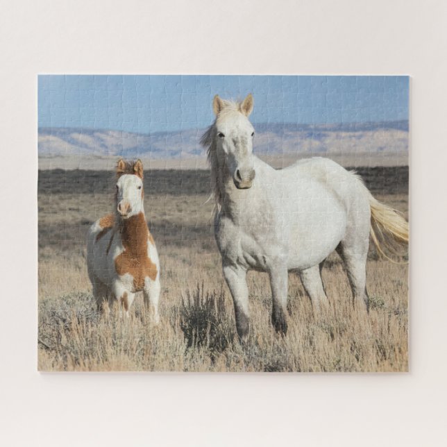 Puzzle Chevaux sauvages chez eux dans le bassin de Sandwa (Horizontal)