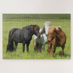 Puzzle Chevaux sur le Ranch, sud de l'Islande