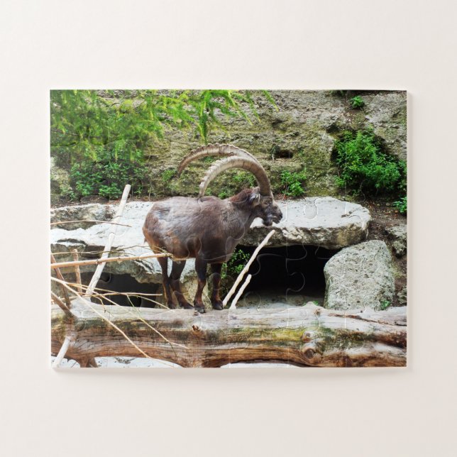 Puzzle Chèvre de montagne (Horizontal)