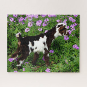 Puzzle Chèvre naine nigériane flashy Kid en fleurs violet