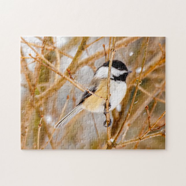 Puzzle Chickadee au plafond noir - Photo originale (Horizontal)