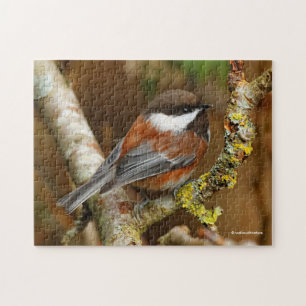 Puzzle Chickadee Songbird, mignonne à dos de châtaignier