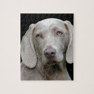 Puzzle chien
