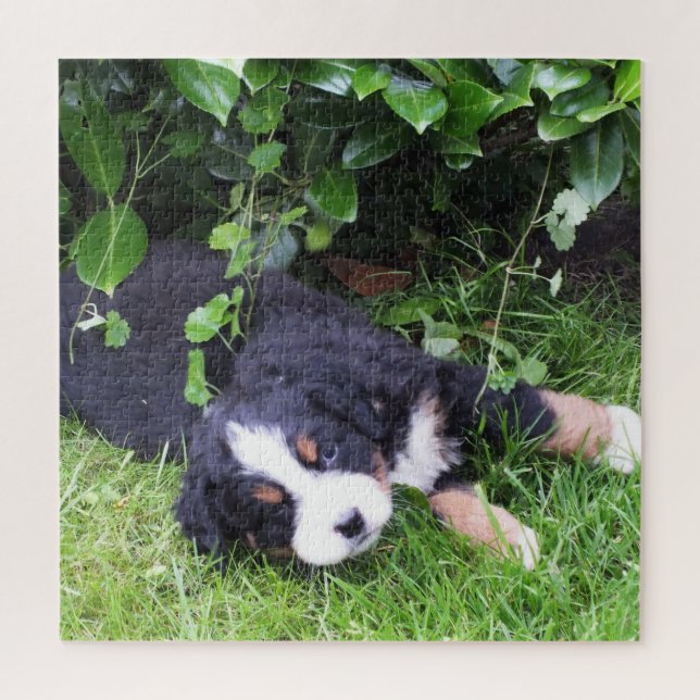 Puzzle chien, animal de compagnie, mignonette, animal, ra (Vertical)