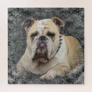Puzzle chien, animal de compagnie, mignonette, animal, ra
