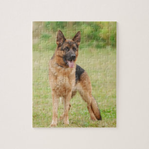 Puzzle Chien berger allemand