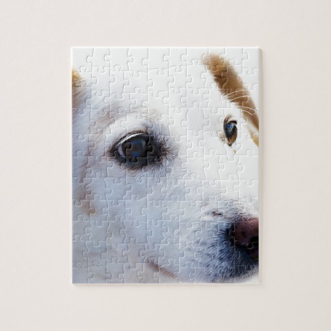 Puzzle Chien blanc aux yeux fidèles, Animaux Animaux Chie (Vertical)
