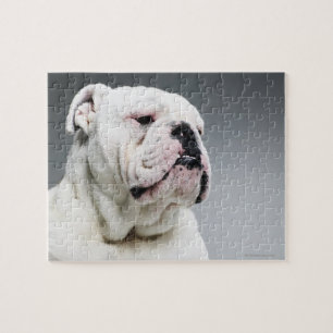 Puzzle Chien blanc de Taureau
