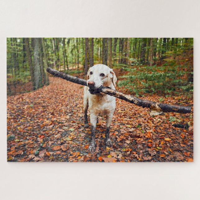 Puzzle Chien boueux Dans La Nature D'Automne (Horizontal)