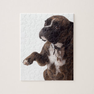 Puzzle chien boxeur